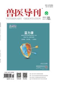 兽医导刊
